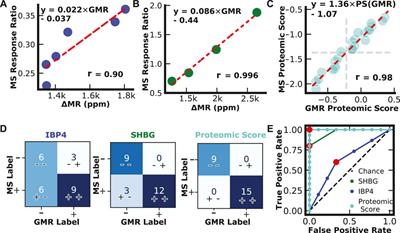 A dual-binding magnetic immunoassay to predict spontaneous preterm birth